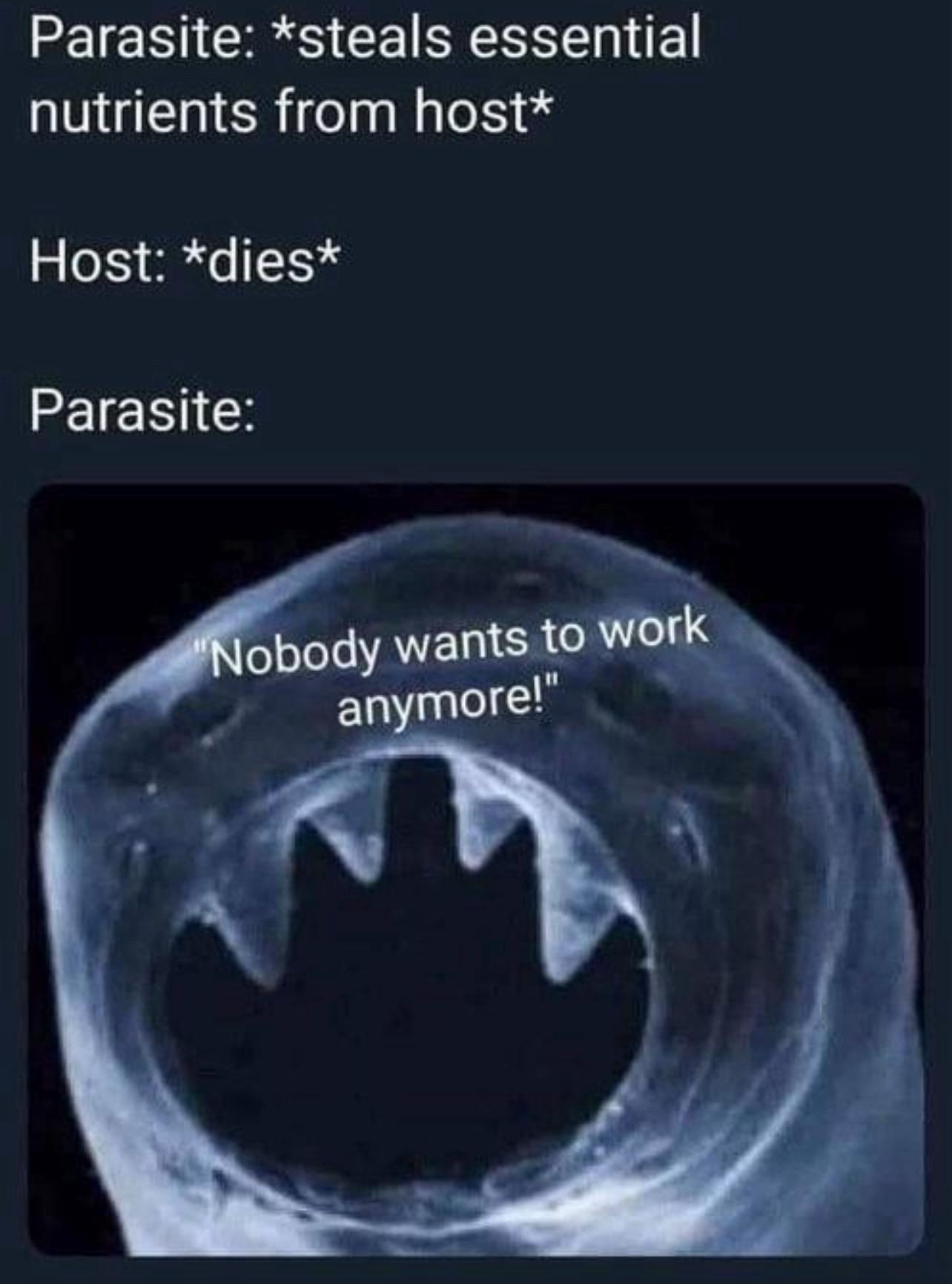 When investors say nobody wants to work anymore
