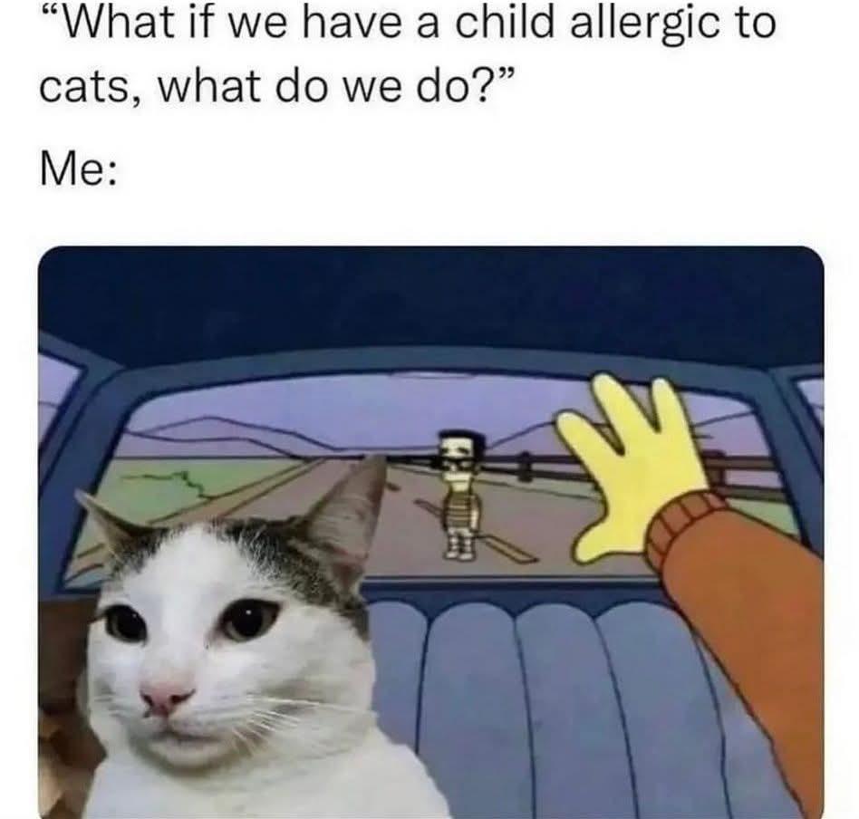 A cat is definitely better than a son