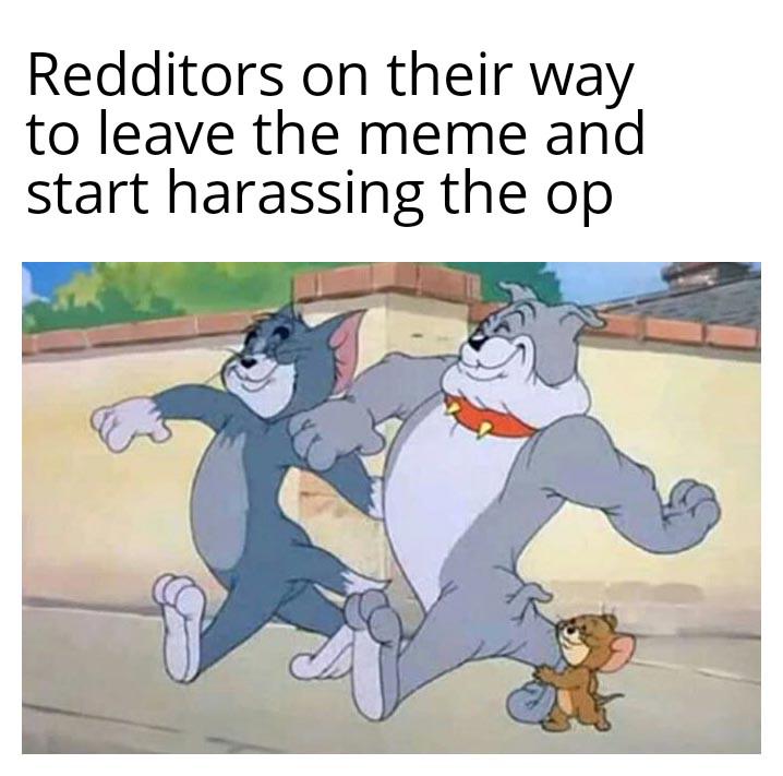 Redditors be like