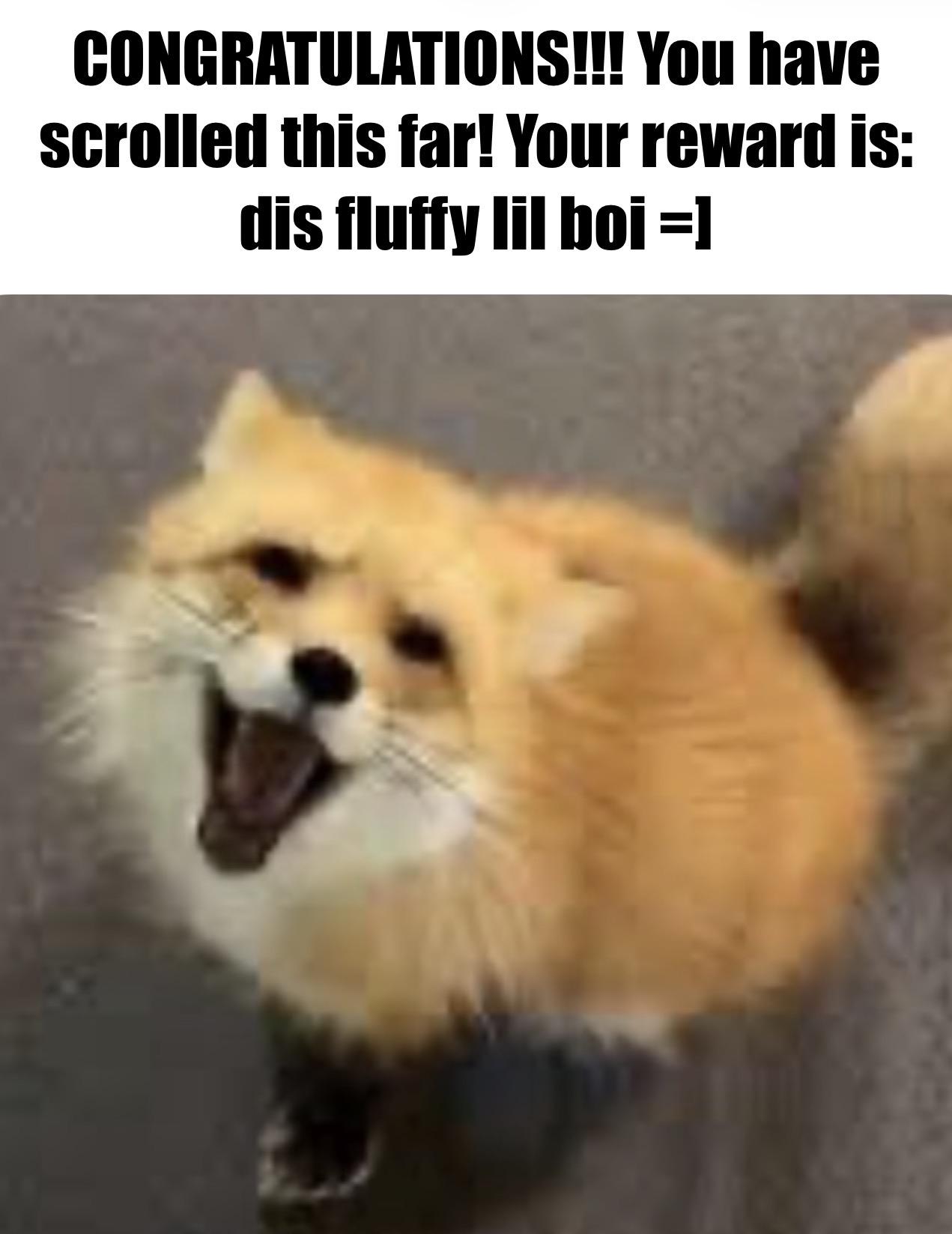 His name is Roger (after mr. rogers)