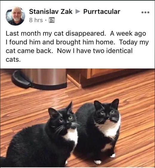 The matrix has malfunctioned