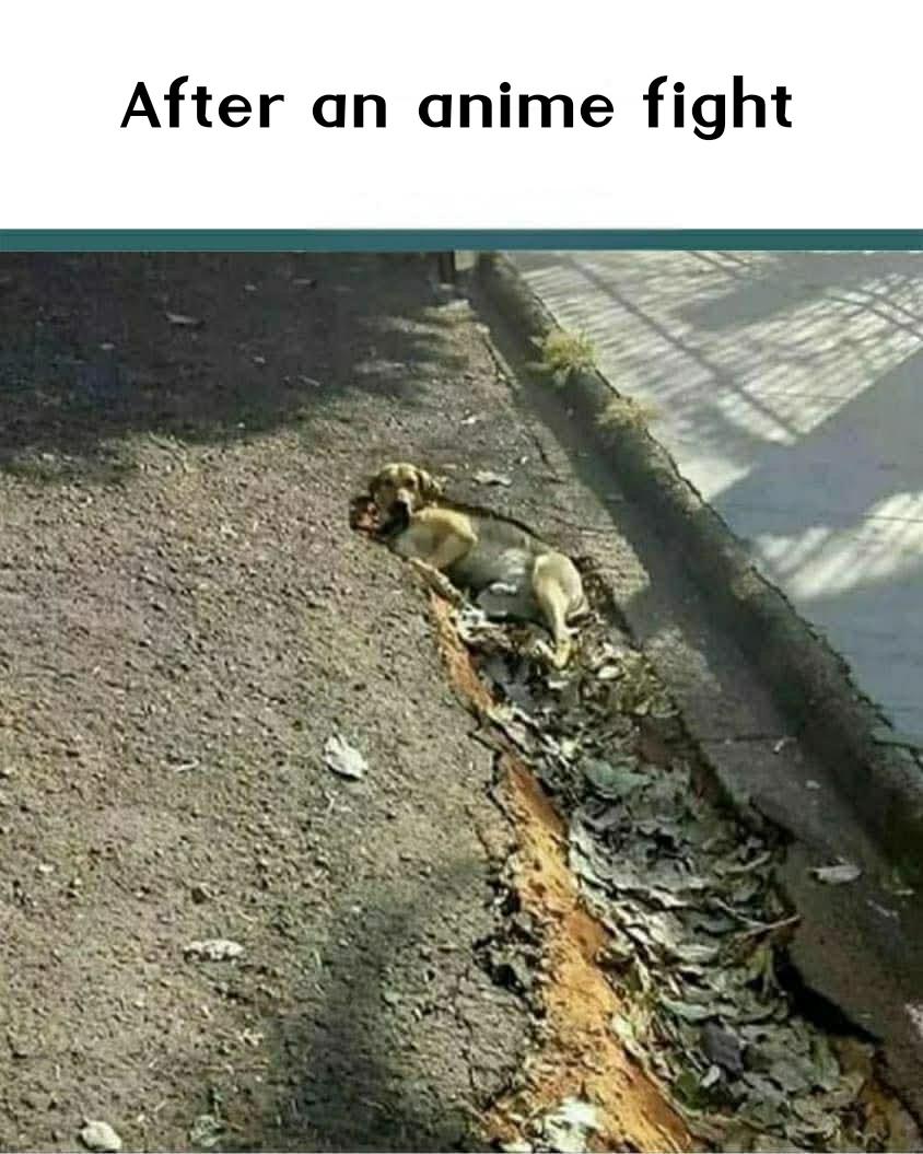 Was very rough fight 🤣