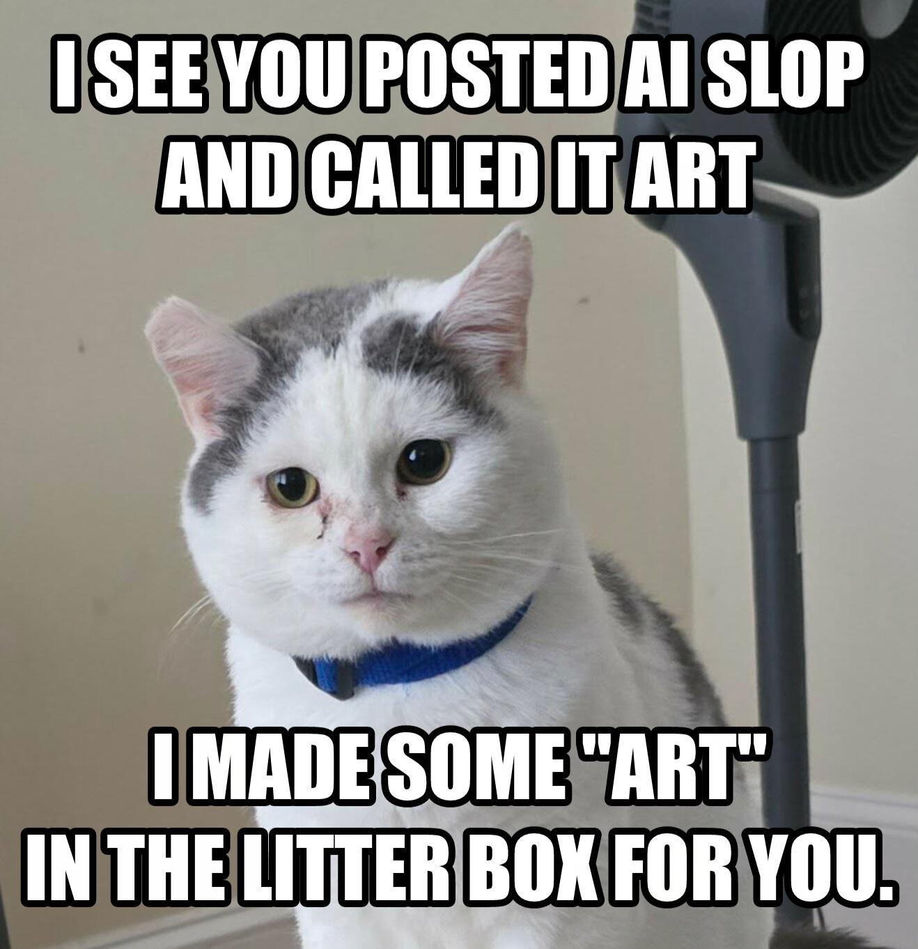 Kitty no like AI Slop.