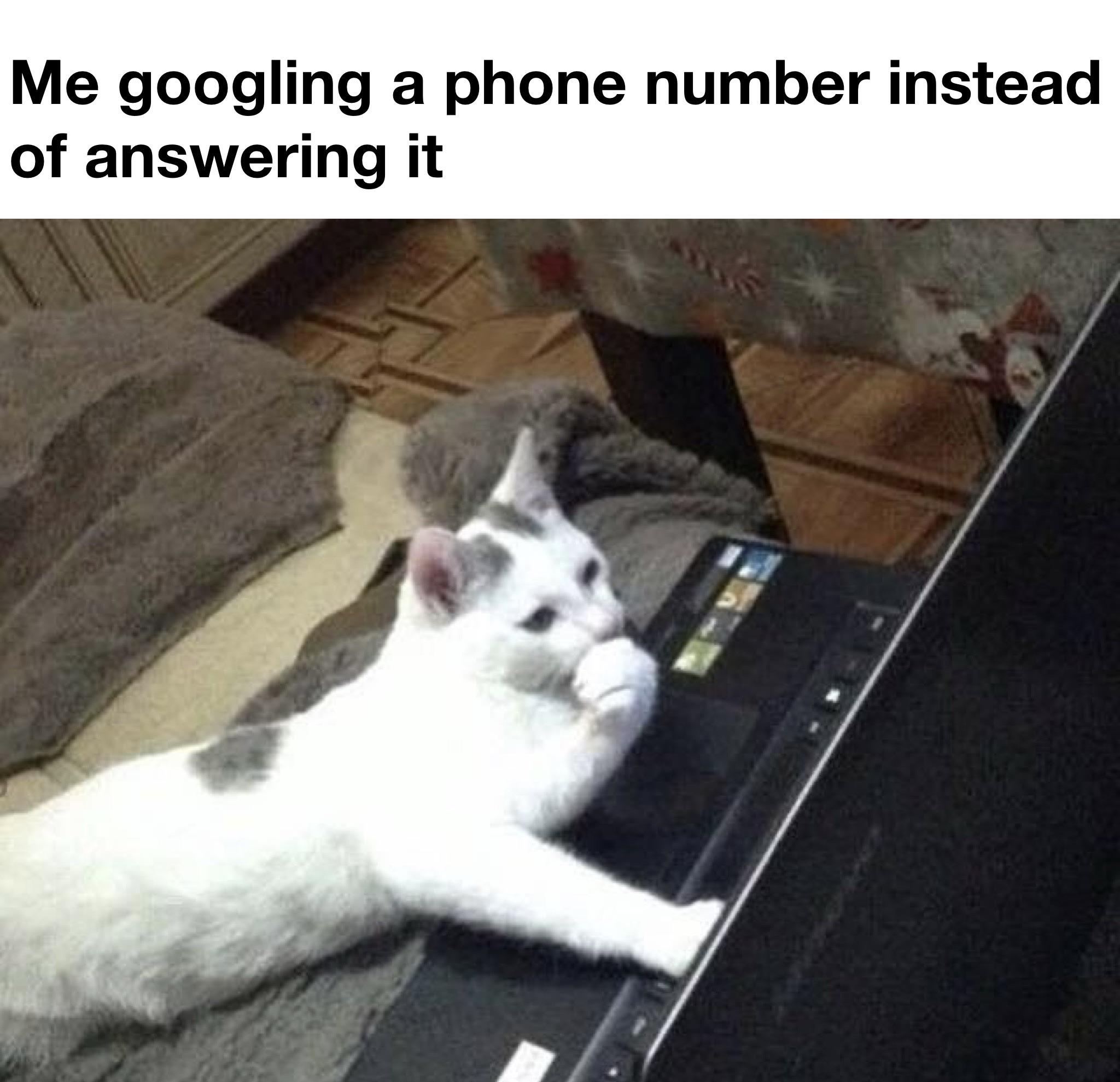 Introvert instincts