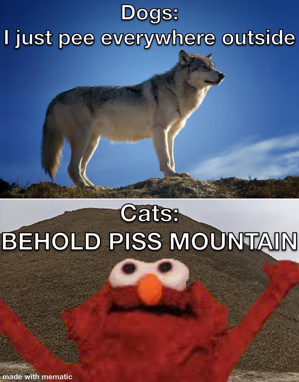 Cats do be buildin