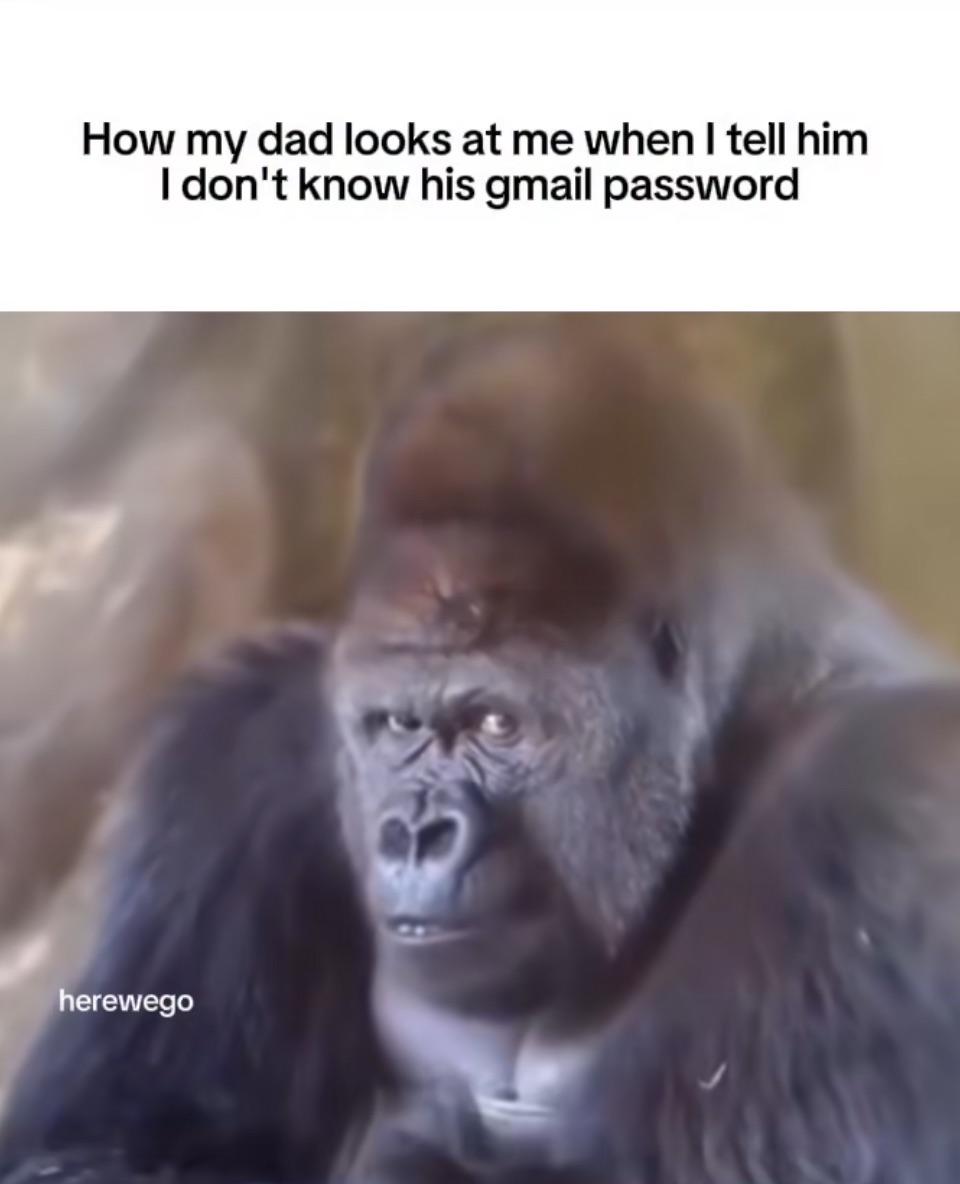 βThen why do you go to school for?β