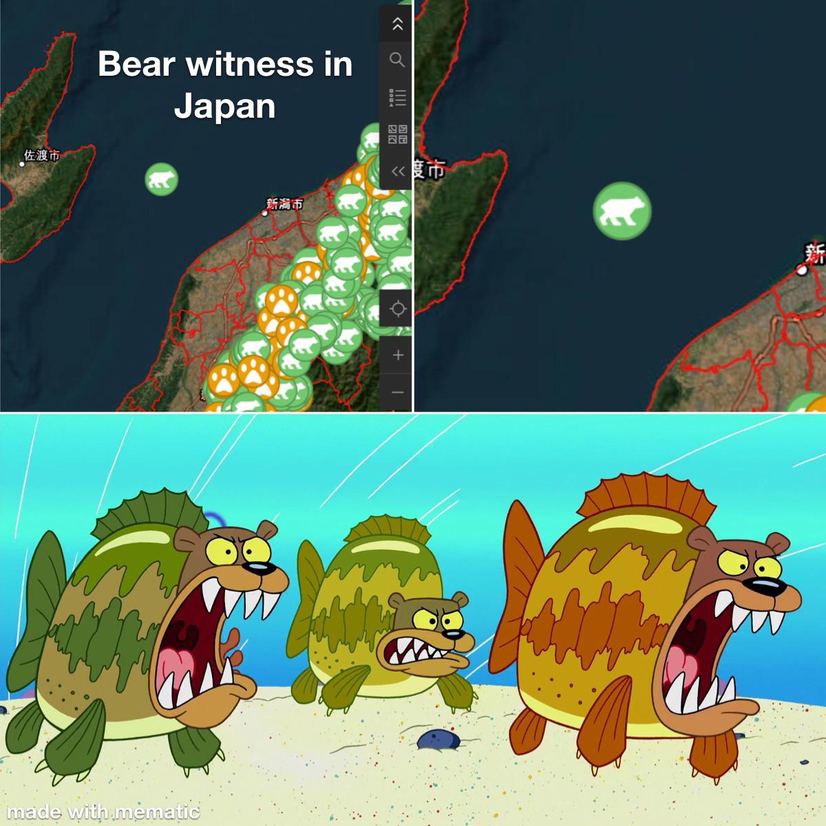 Bears in Japan be like