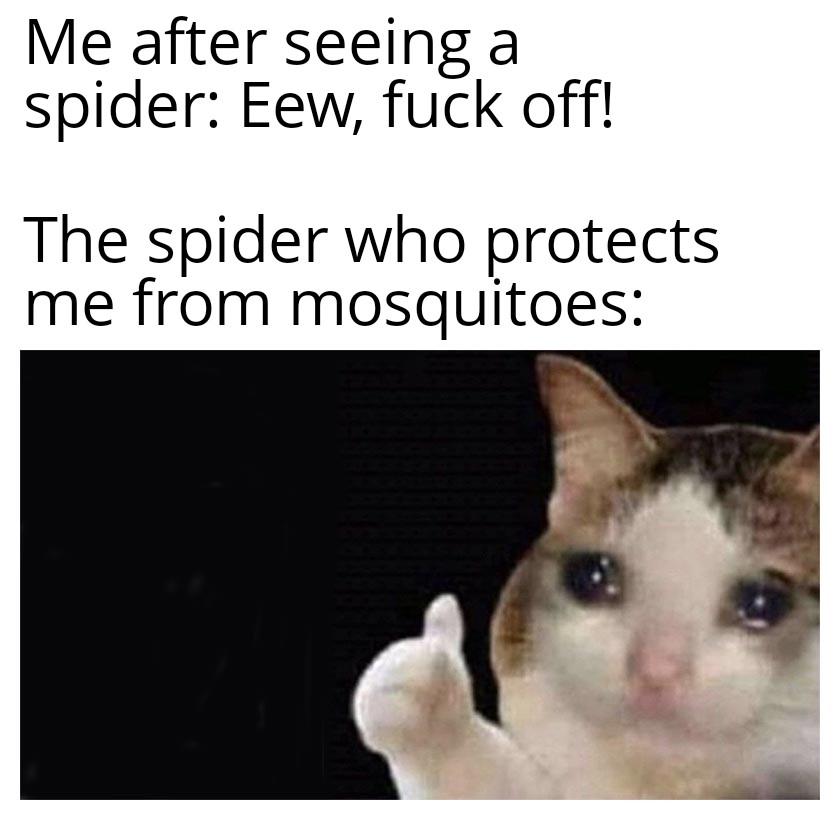 Poor spiders :(