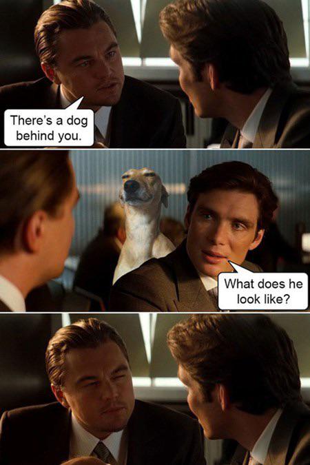 The OG memes reign supreme.