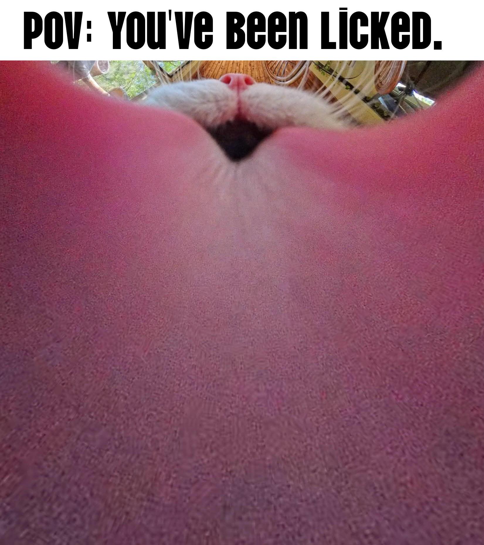 You've been licked