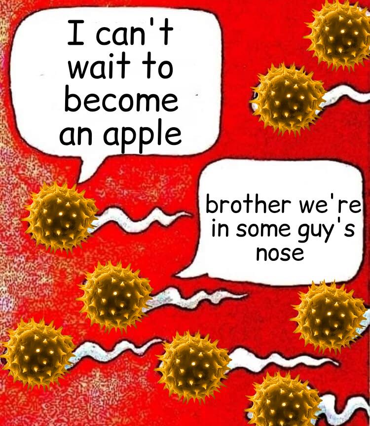 Fuck pollen, all my homies hate pollen