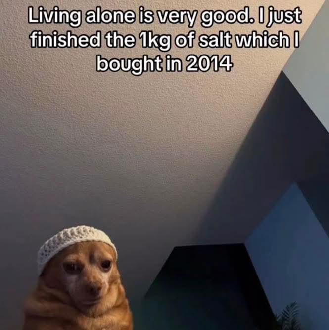 It took a decade!