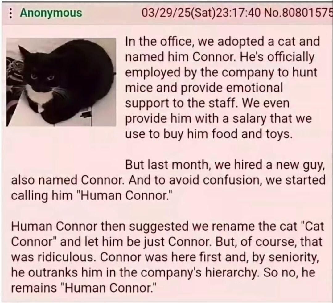Poor ol' Human Connor