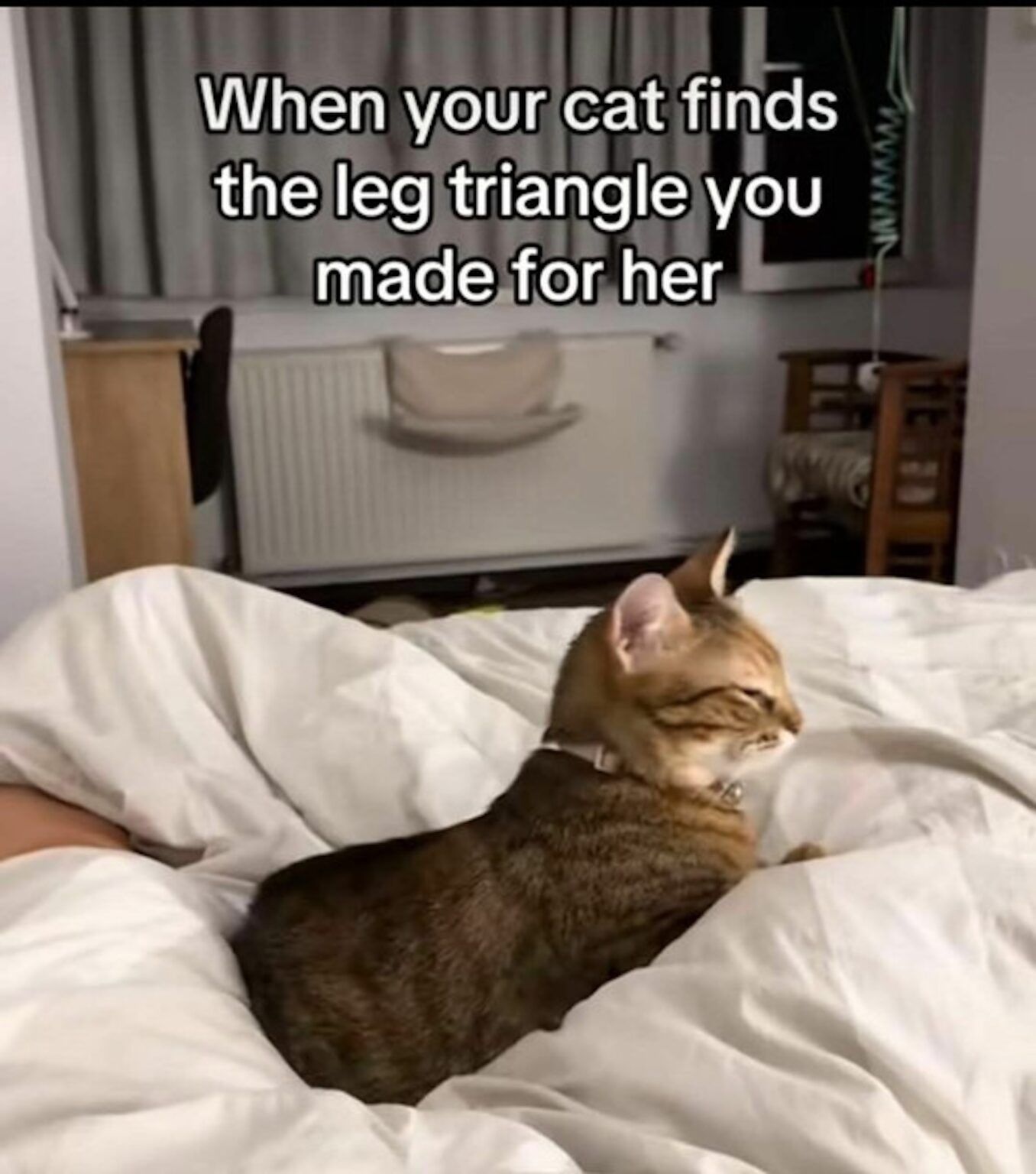 had another one in the chamber. No theme, though. Just a cat.