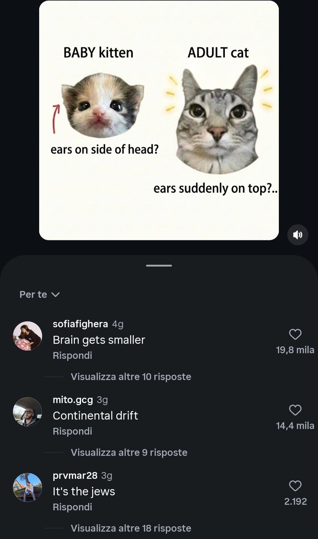 All three of them are right