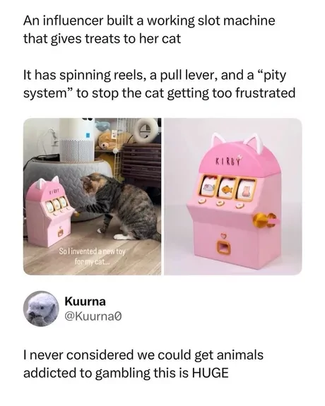 catsino