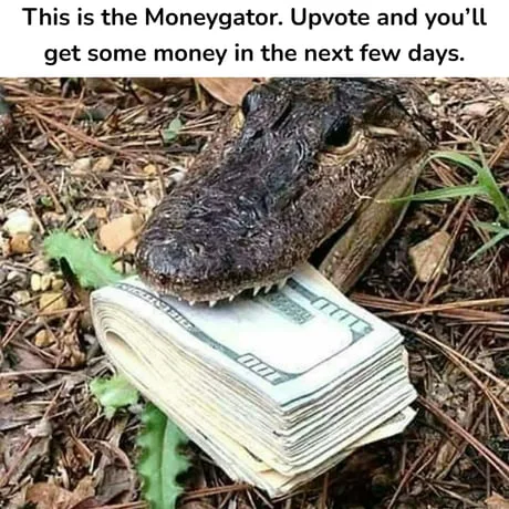 You wanna know how I got this money and also my scars?