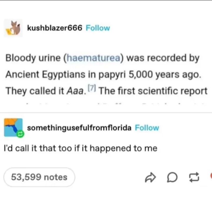 ( ‘ ◉ ⌓ ◉ ’ )!!!