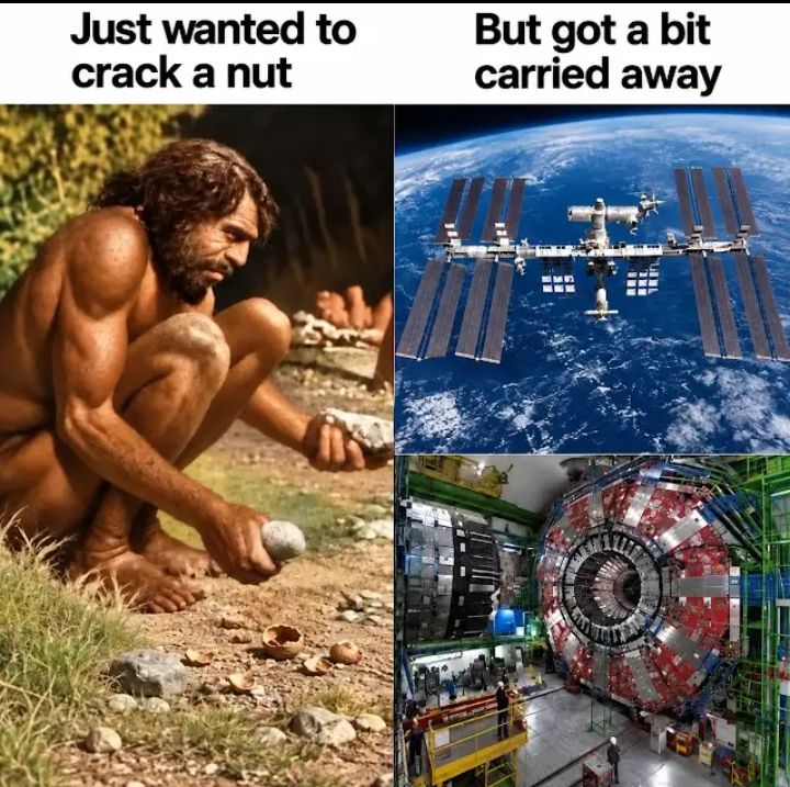 Bust a nut