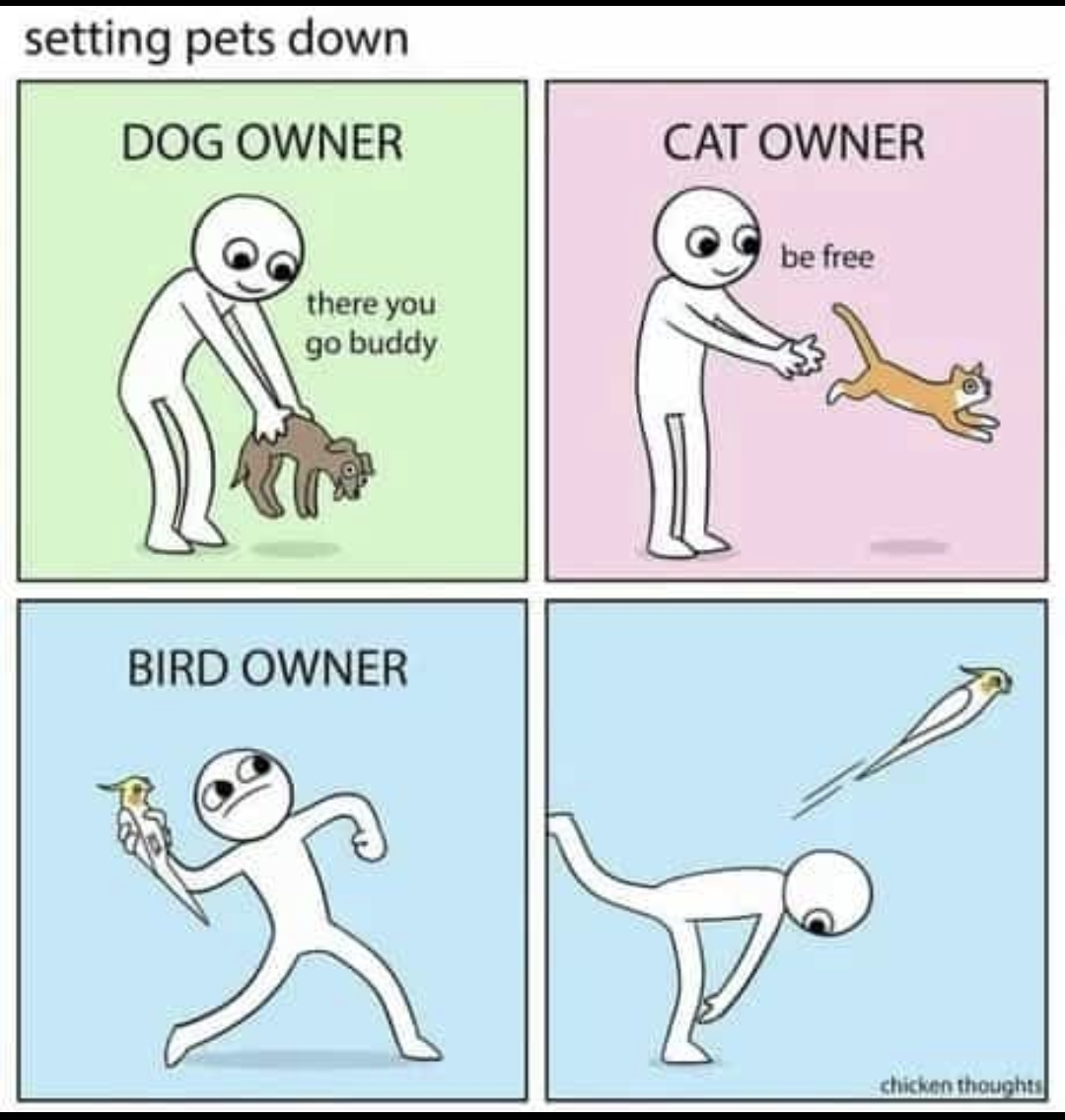 Yeet the bird!!
