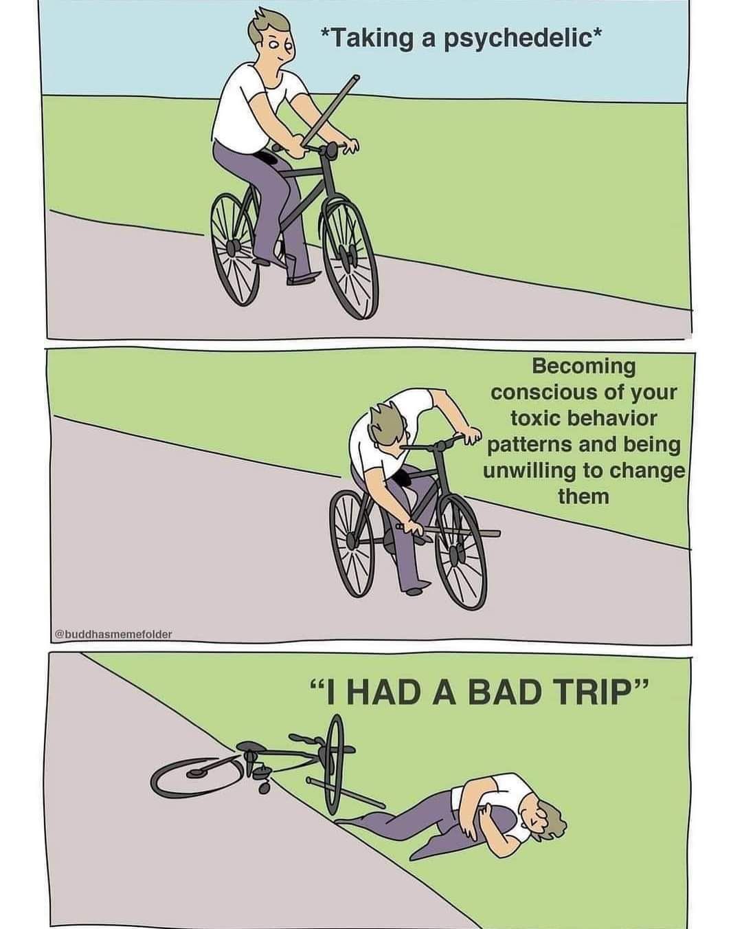bad trips summarised