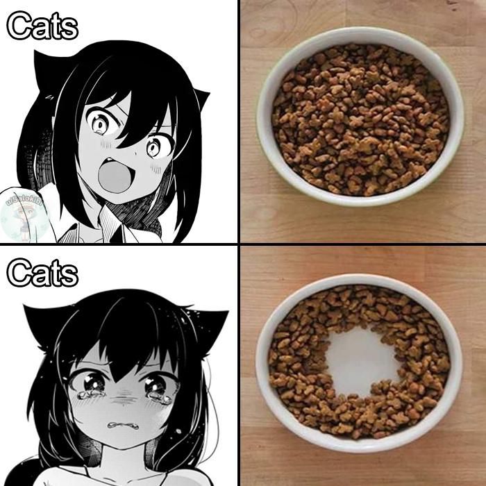 Daily Jahy-sama meme: day 867 ✓