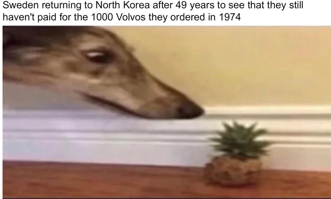 Just pay off the debt