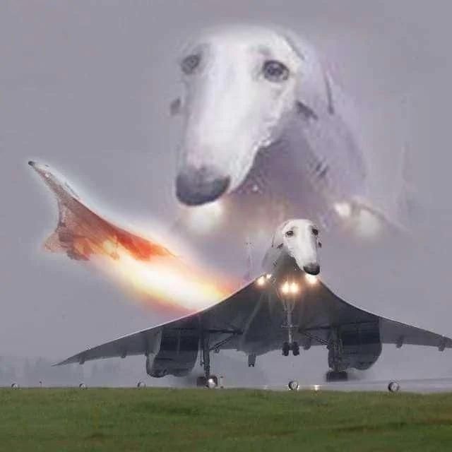 Concorde, the first supersonic passenger airplane, 1969