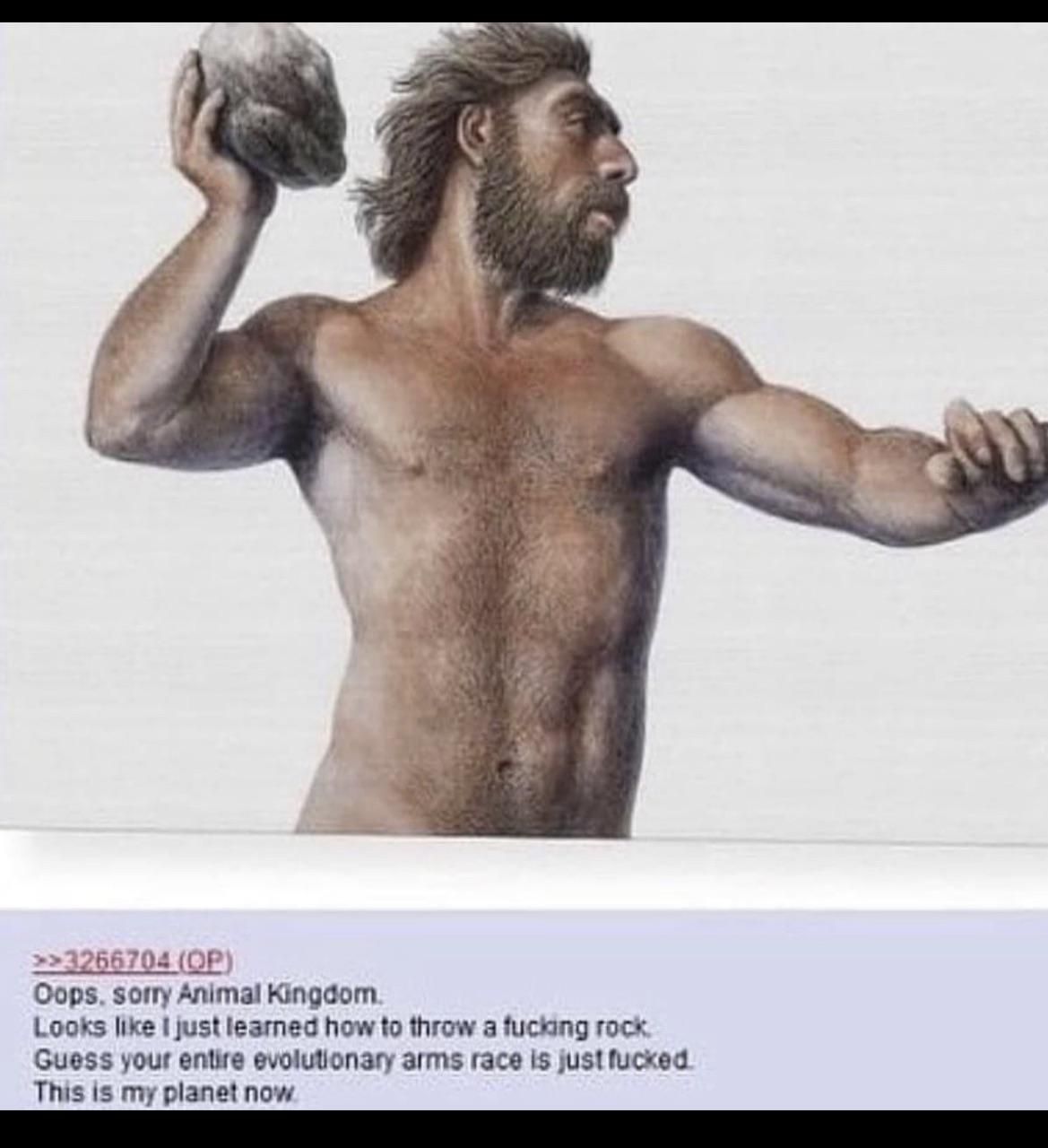We found a flaw in the system