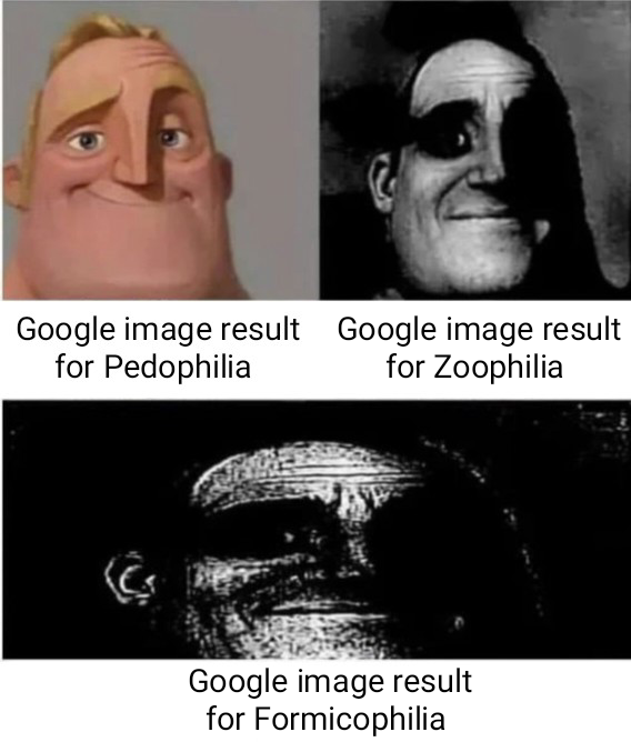 humans are interesting creatures