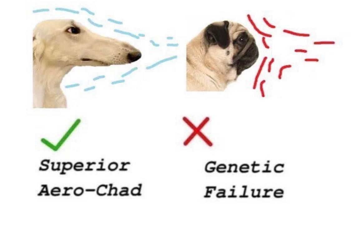 Aerodynamic boy = Good boy