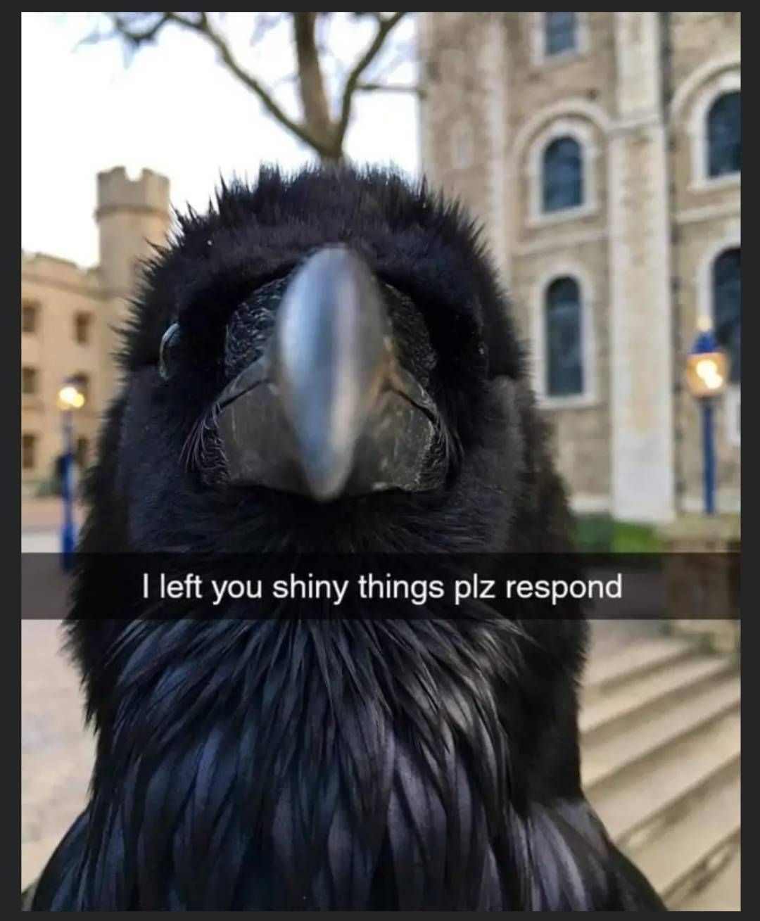Sum fuk?