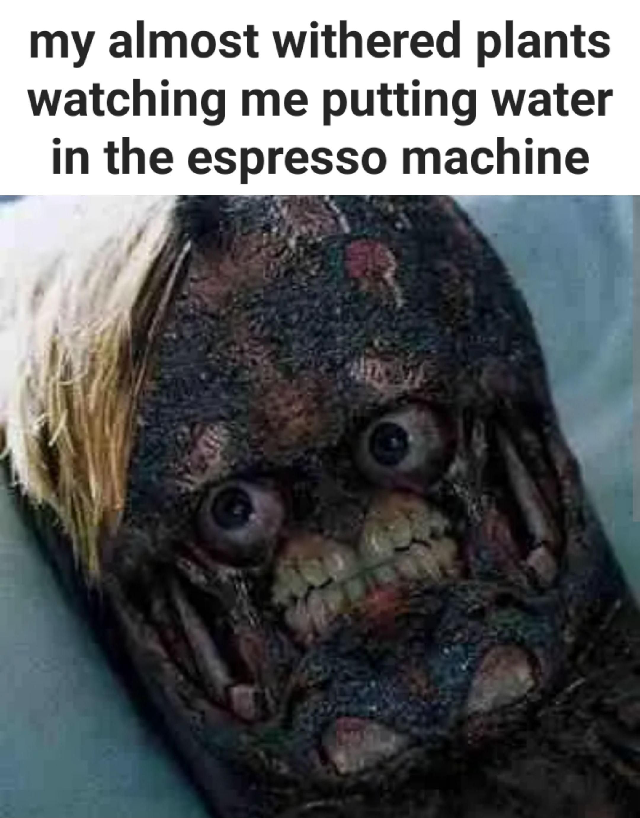 Poor plants