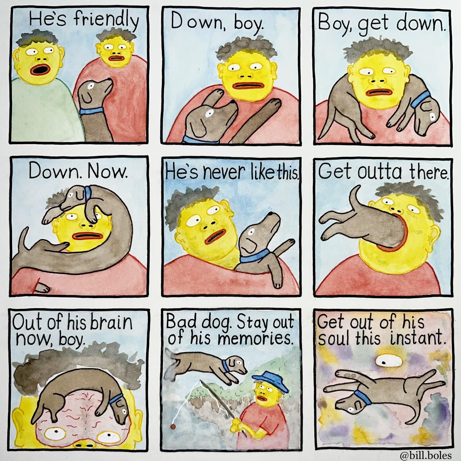 Not a dog person