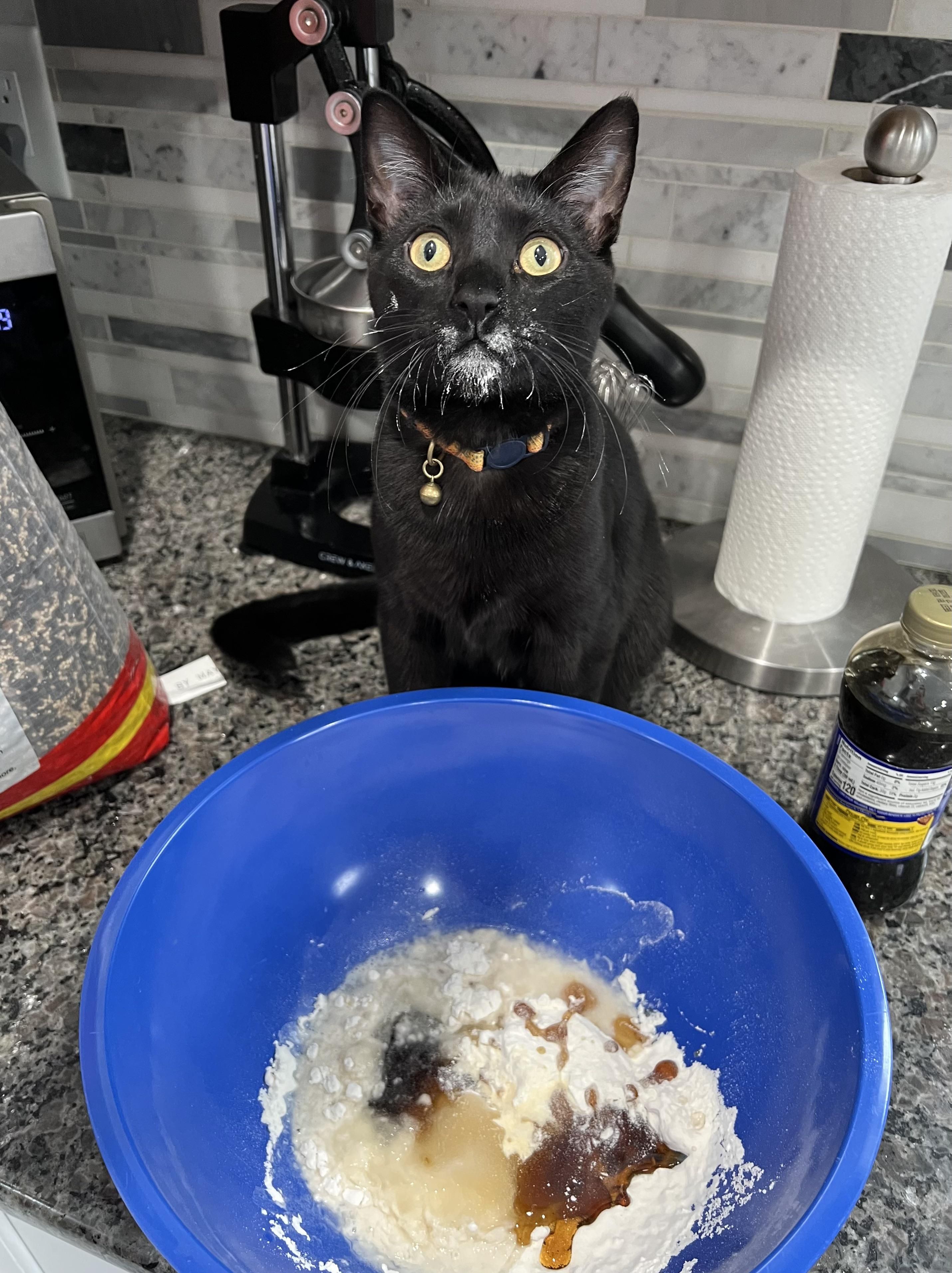 I turned my back for 10 seconds…