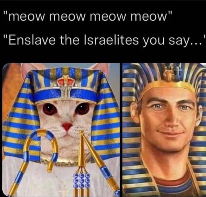 The cat has spoken
