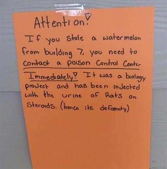 I stole your watermelon....