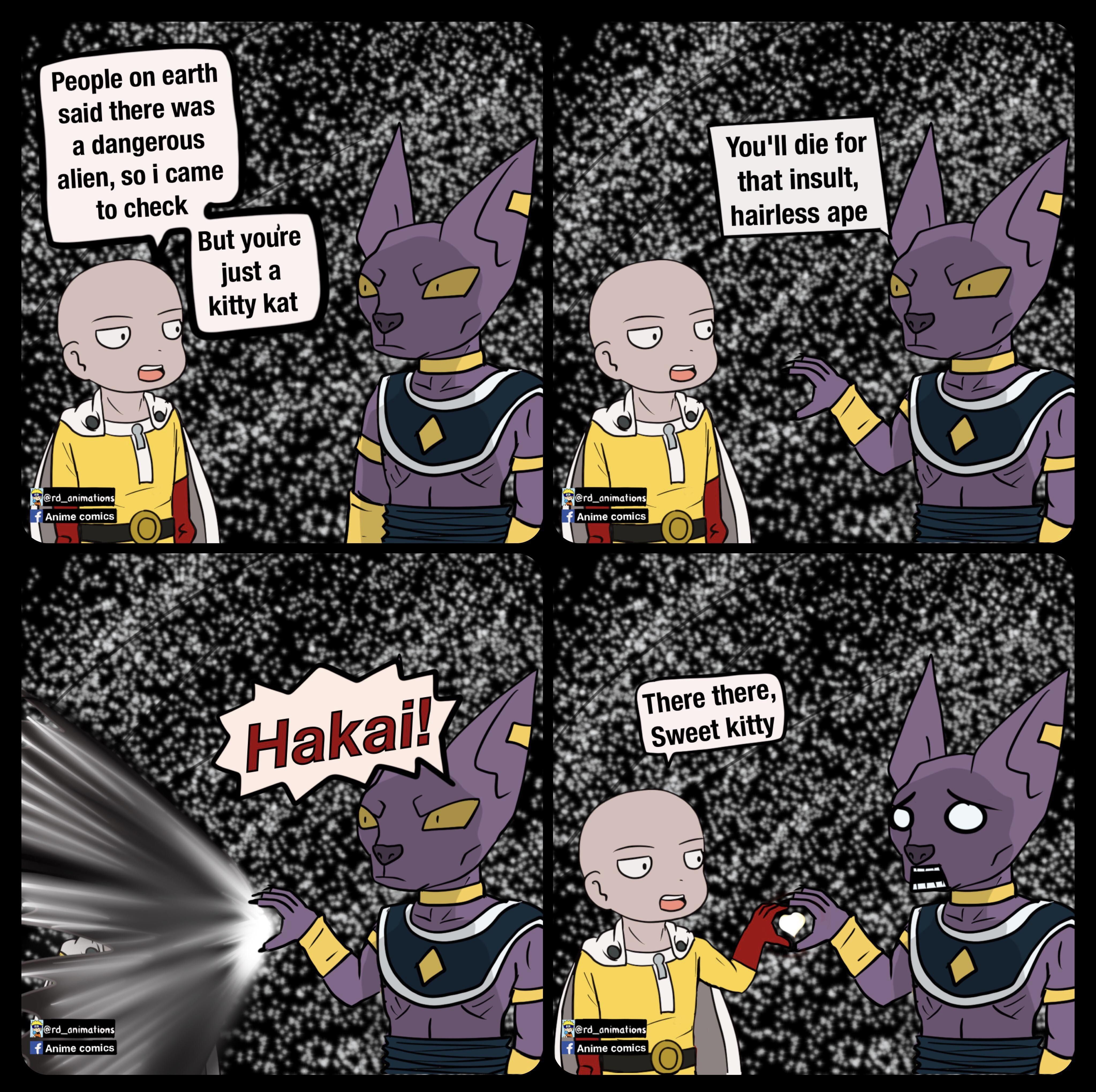 Saitama found a new pet