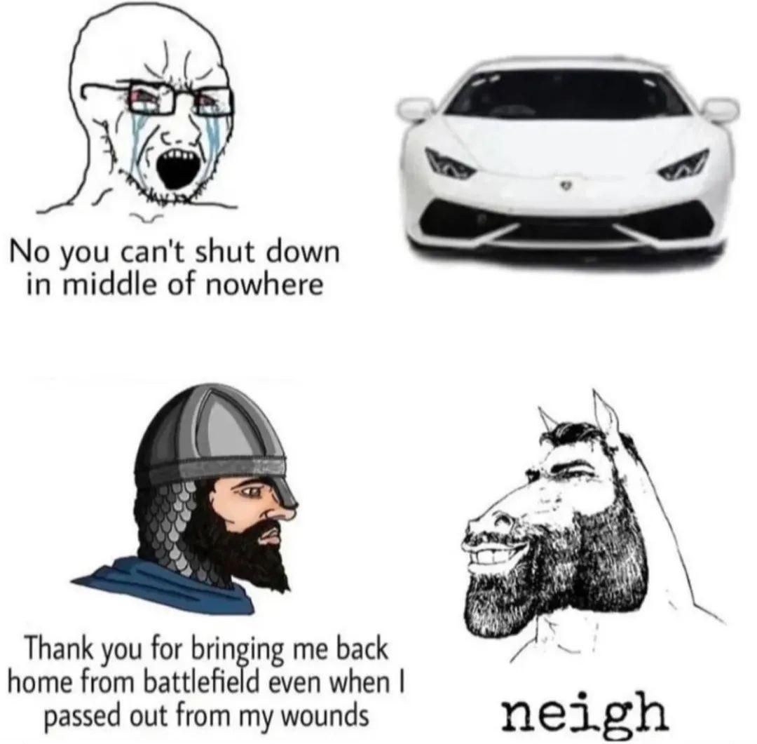 Chad horse