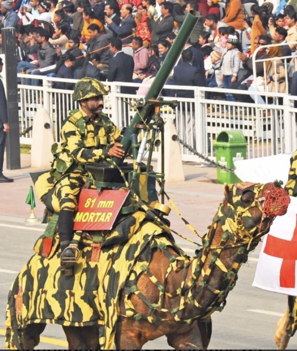 Tactical camel