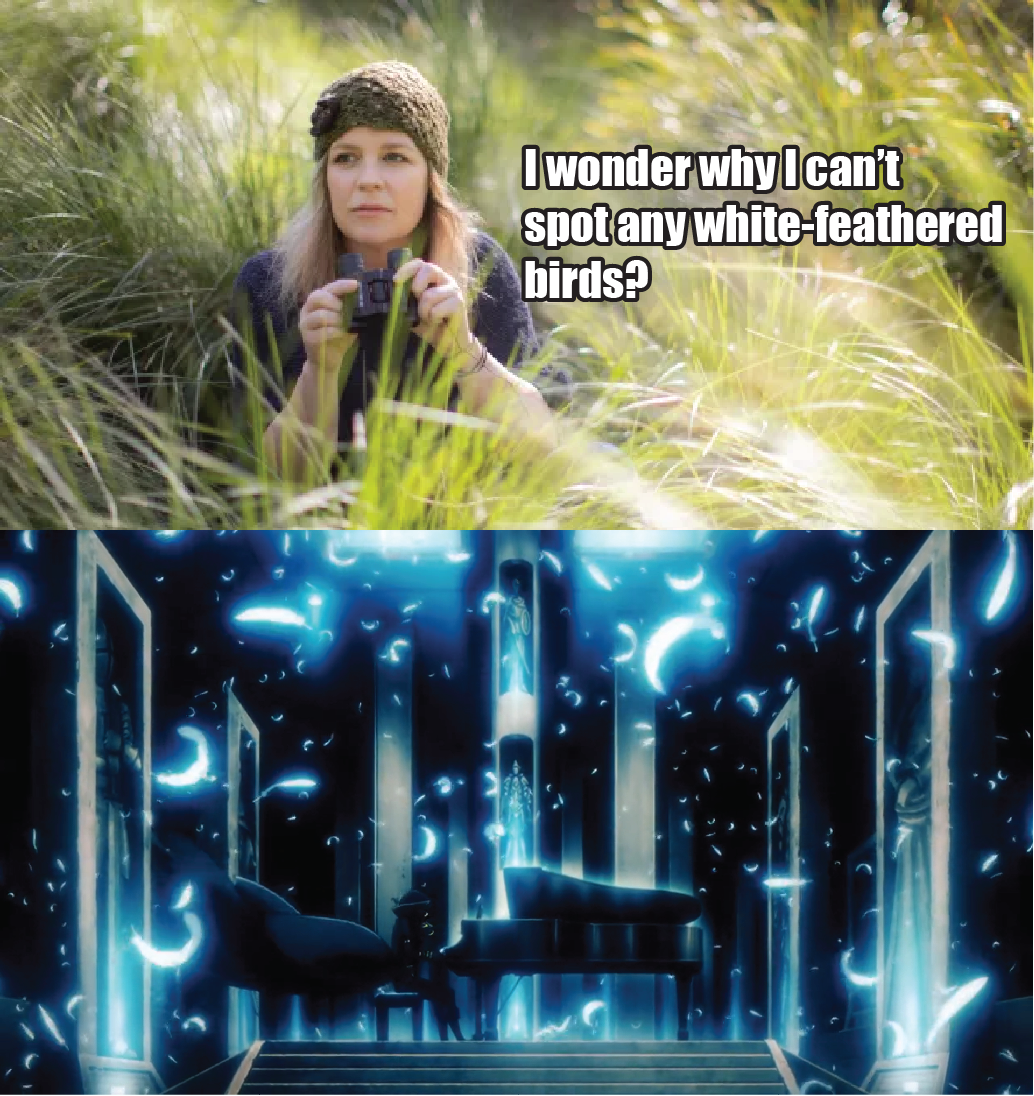 I might know where they went...