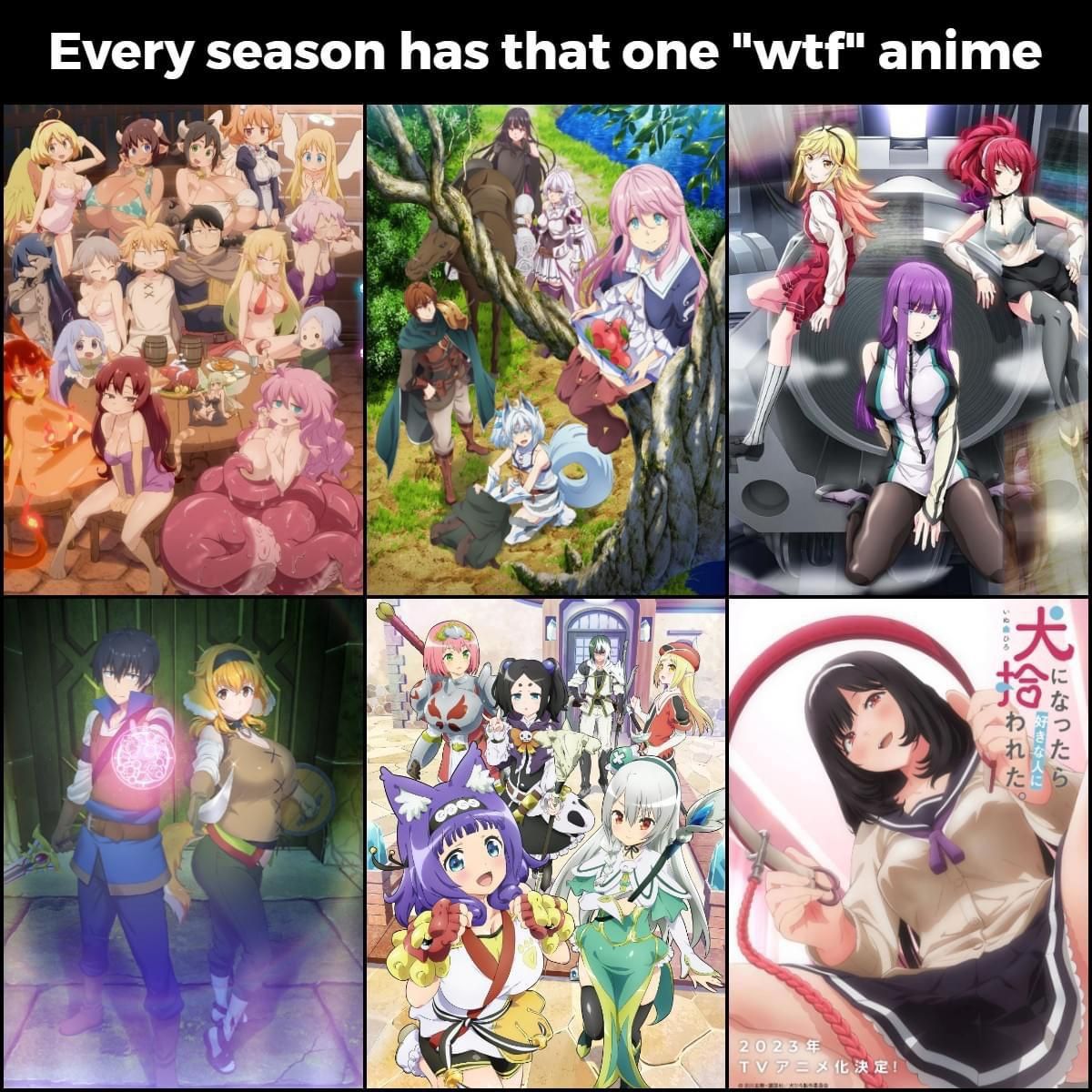 What's the term for this type of show?