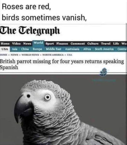 puta madre