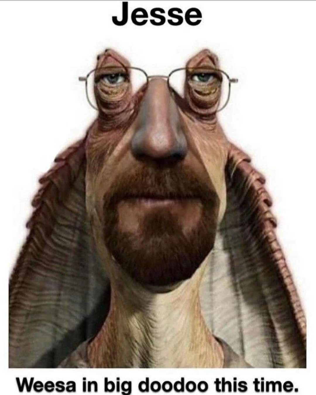 Meesa wants to cook