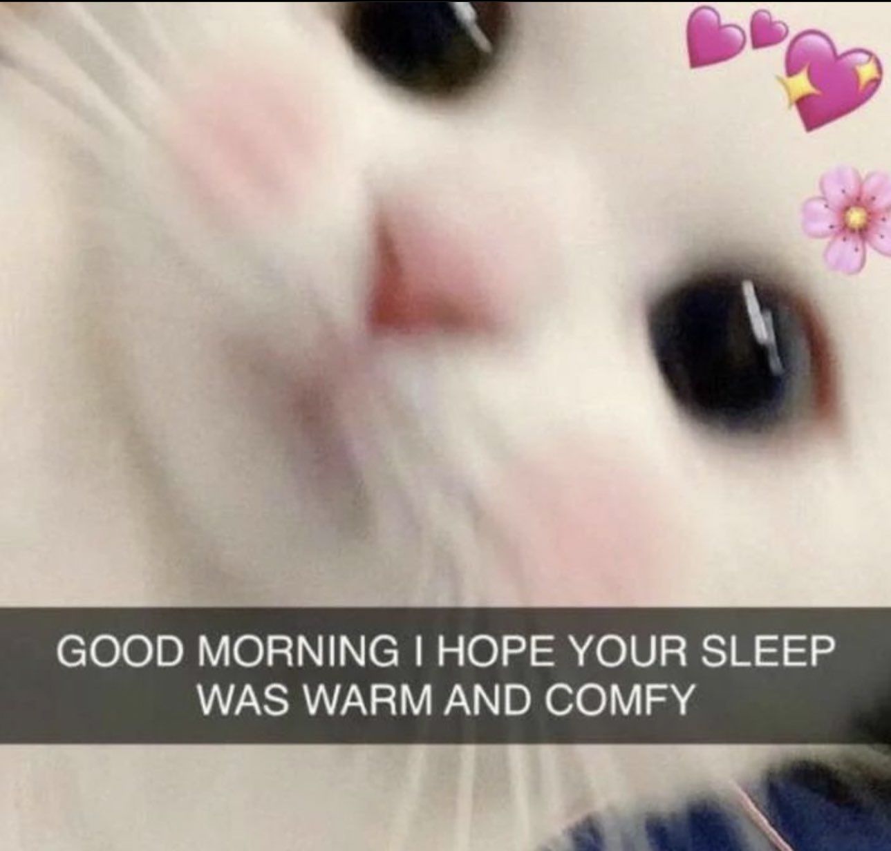I slept 10 hours