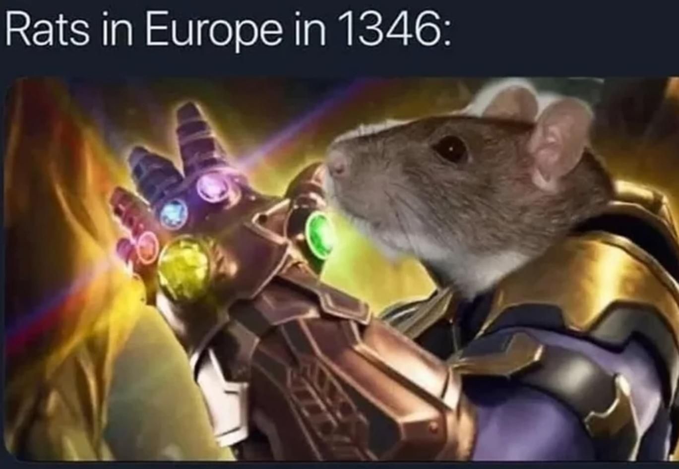 Snappy snap