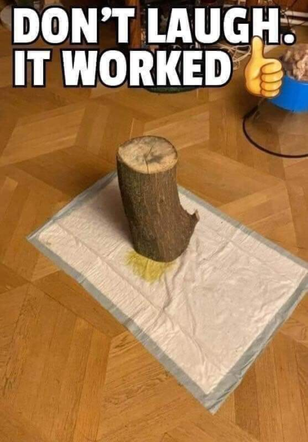 Well, when nothing else works!
