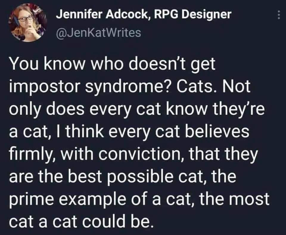 I ***ing love cats, send me cat pictures