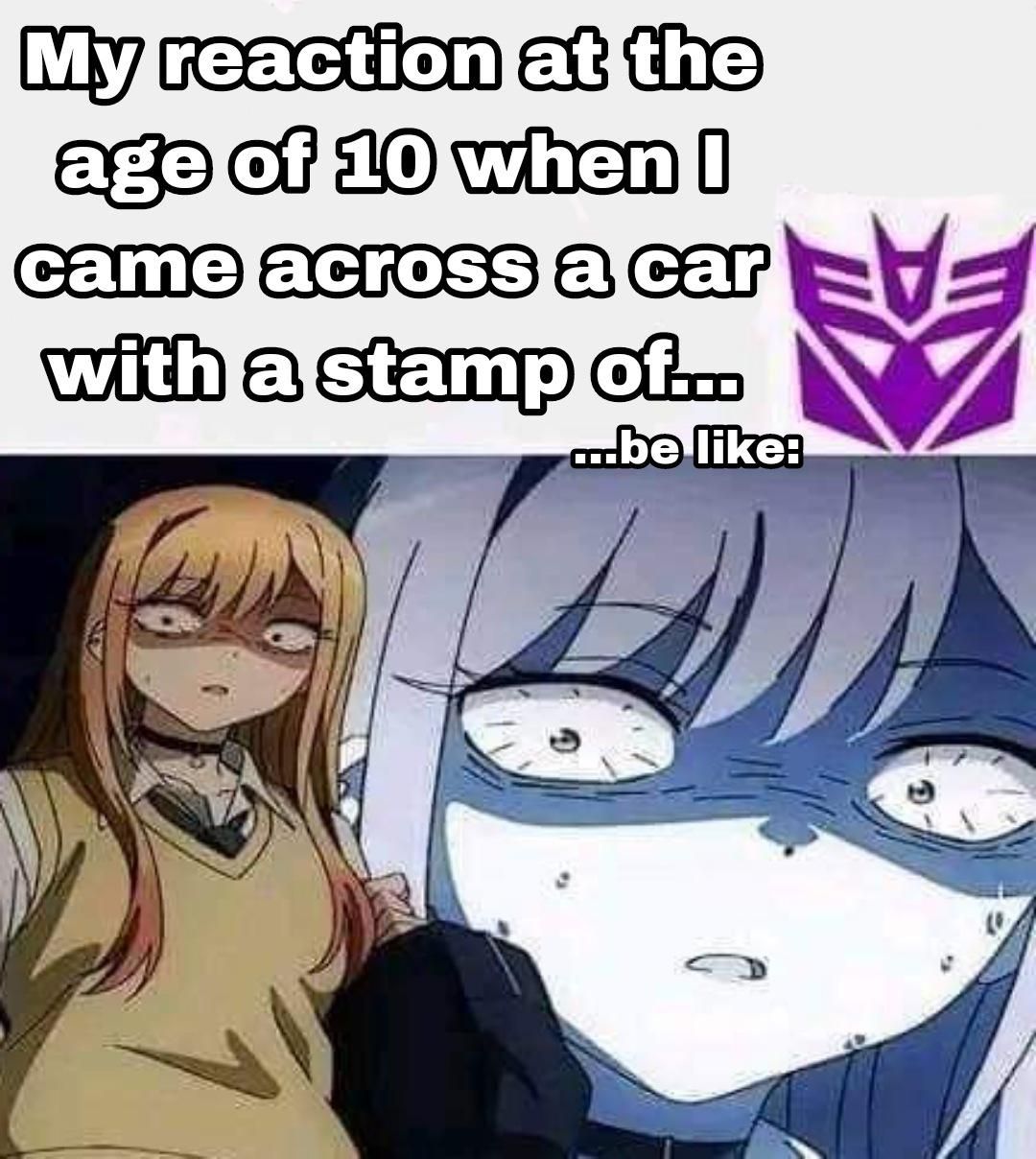 And if you found one with both Autobot and Decepticon stamps it was like "confused stonks.png"