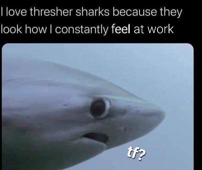 I hate it here.